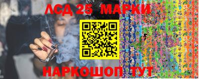 apvp Обнинск