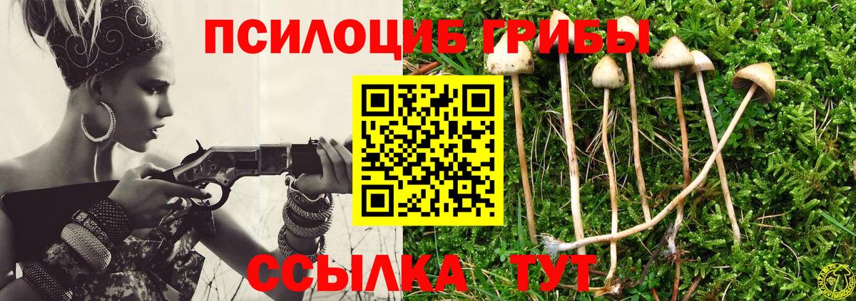 Галлюциногенные грибы MAGIC MUSHROOMS  Галлюциногенные грибы ЛСД  Валуйки  Вход с VPN 